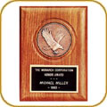 Camelot Plaques