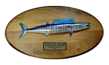10x20 Solid Walnut Wahoo