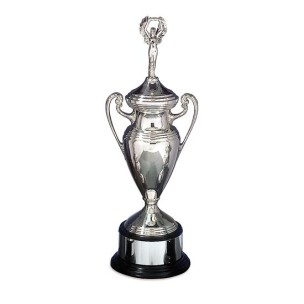 D156SF Award Cup