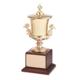 Award Cups