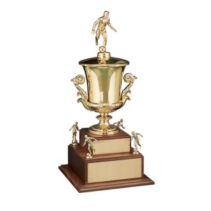 Award Cups
