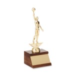Walnut Sports & School Trophy