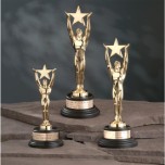3401 - Star Achievement Award