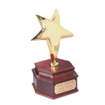 3432 - 24K Gold Rising Star Award