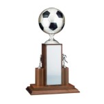Soccer Ball